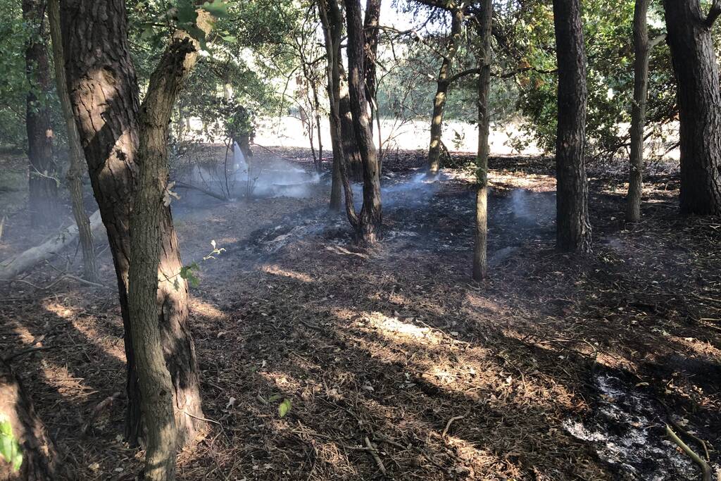 Opnieuw brand in bosgebied