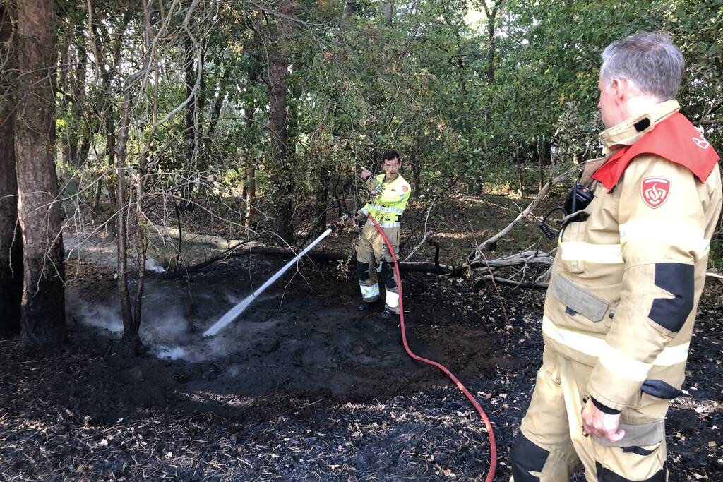 Opnieuw brand in bosgebied