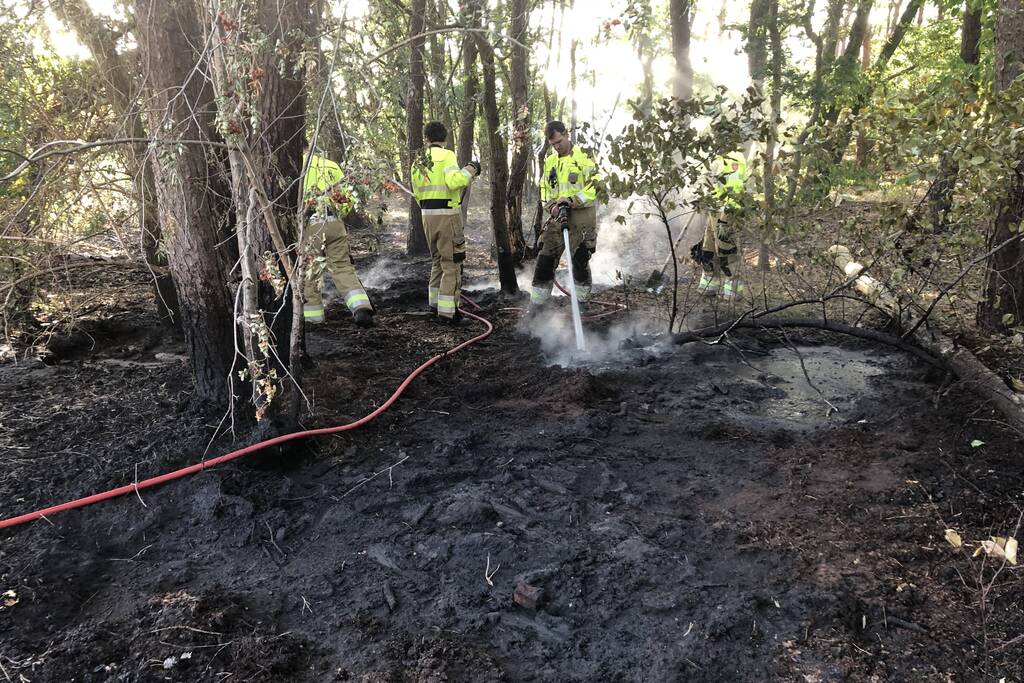 Opnieuw brand in bosgebied