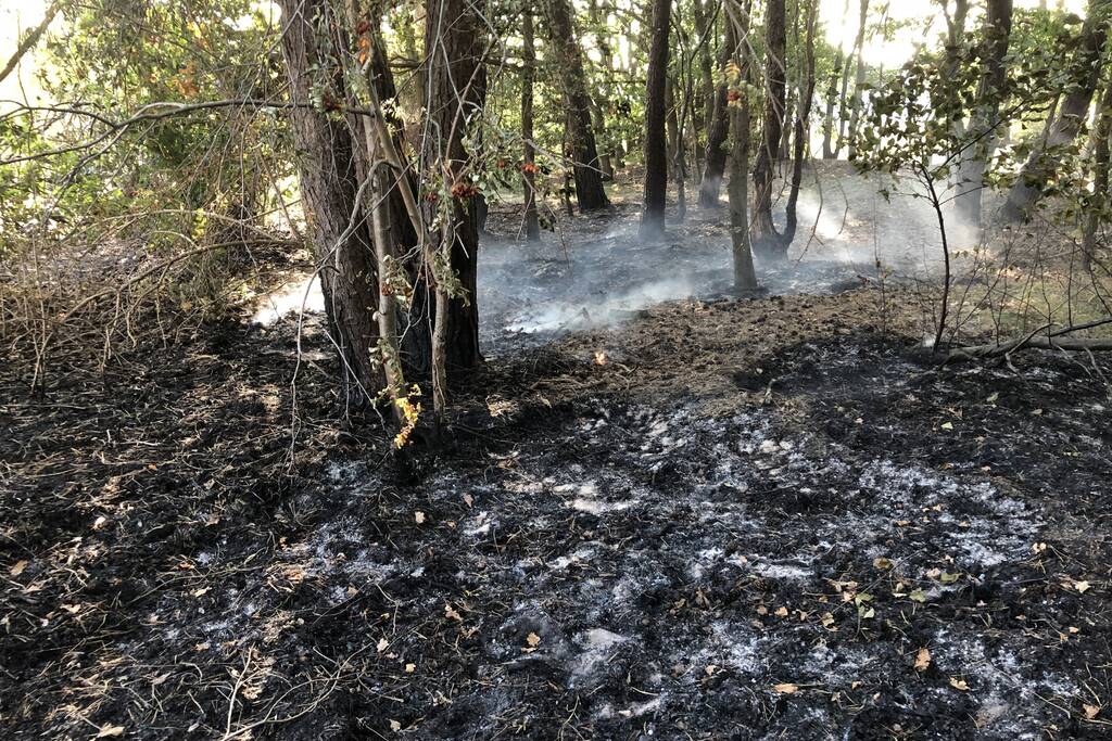 Opnieuw brand in bosgebied