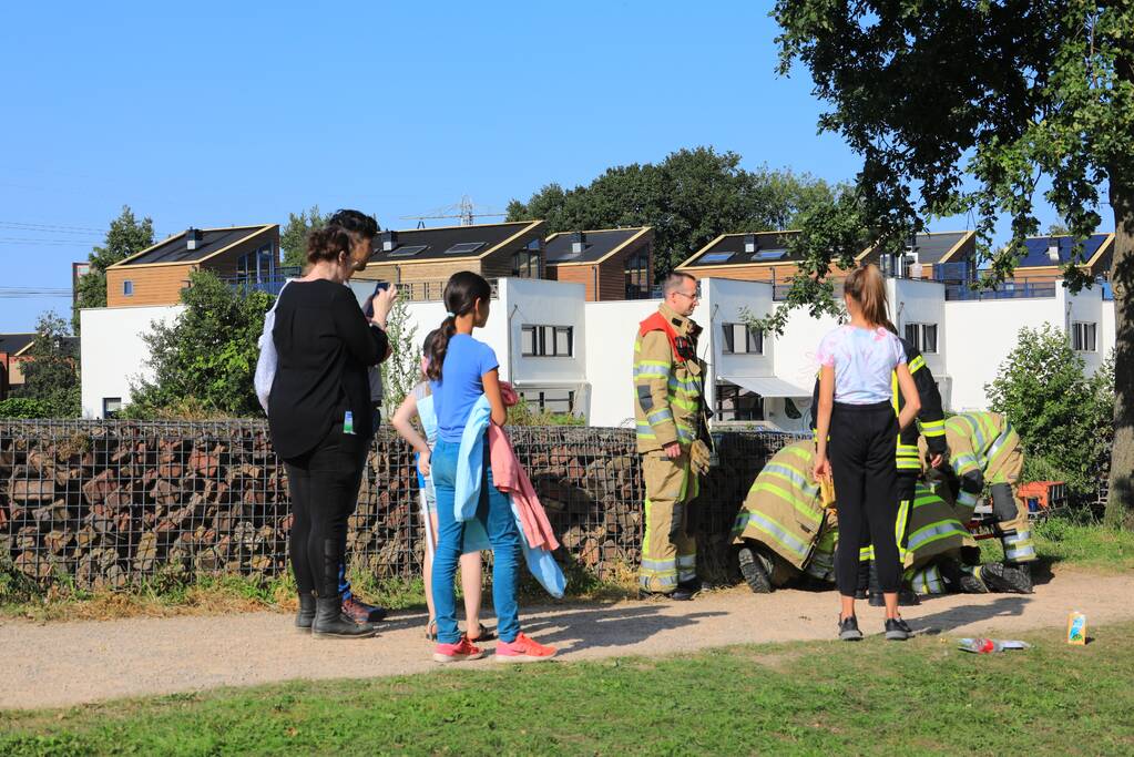 Kinderen vinden egel in nood bij actie WorldCleanupDay