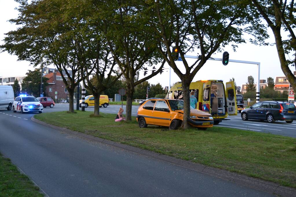 Twee personen gewond na botsing tegen boom