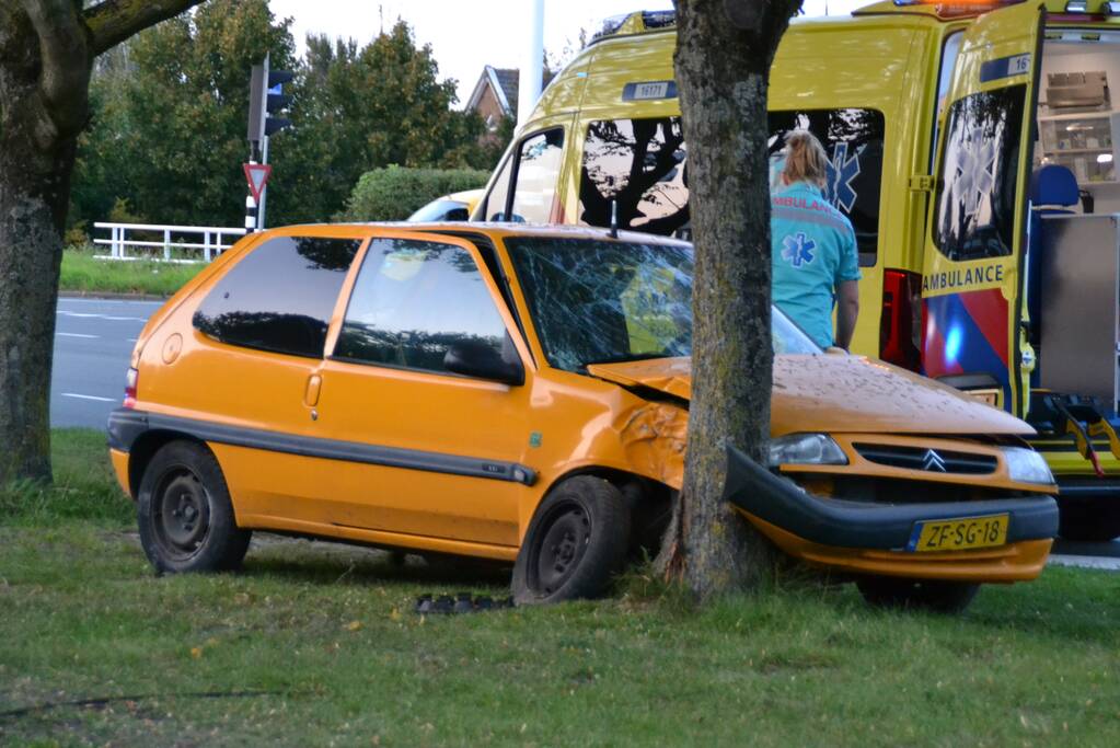Twee personen gewond na botsing tegen boom