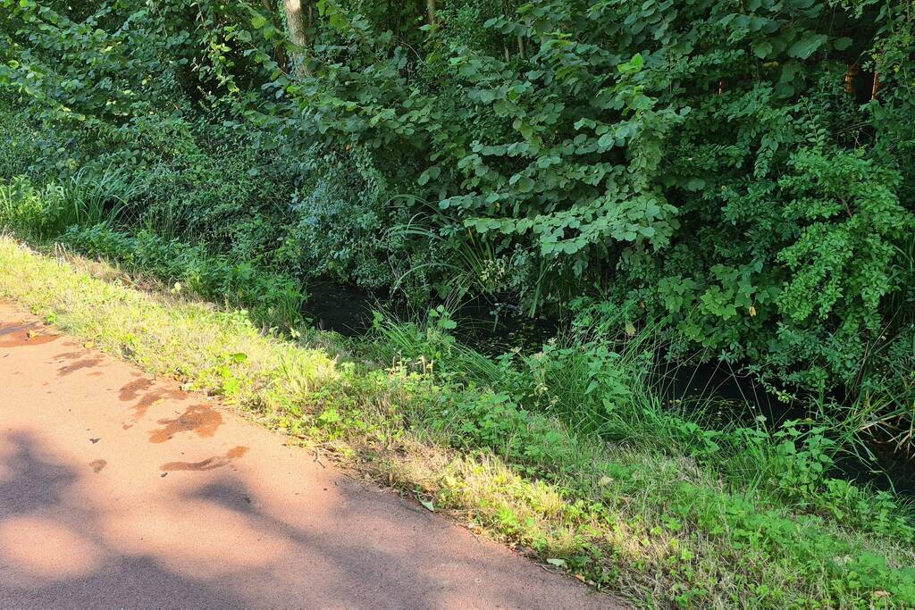 Omstanders redden man onder invloed uit water