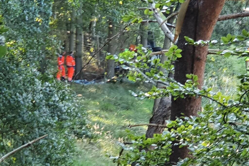 Auto vliegt van de snelweg belandt tussen de bomen