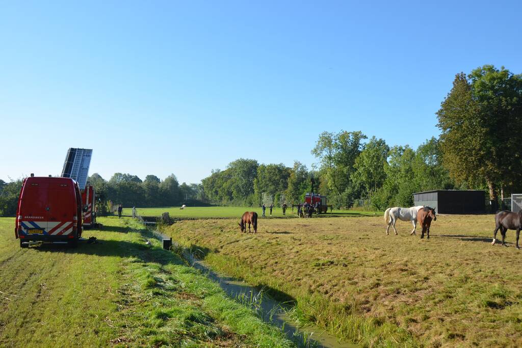 Paard belandt in sloot en zit vast