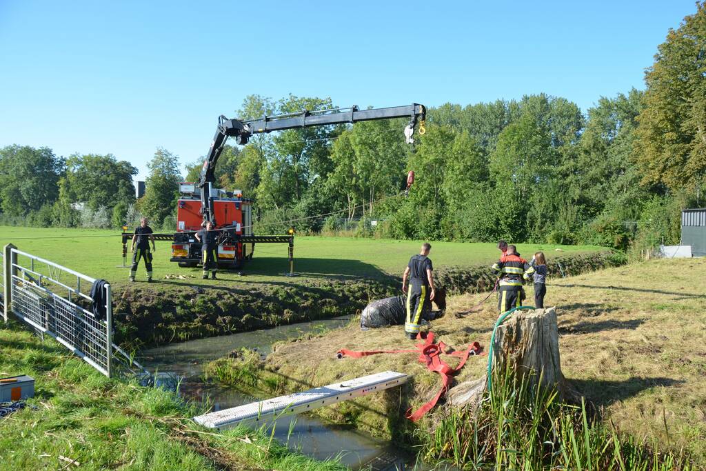 Paard belandt in sloot en zit vast