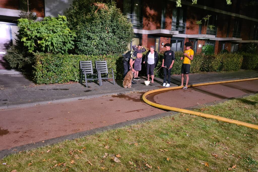 Personen en hond met klachten bij brand