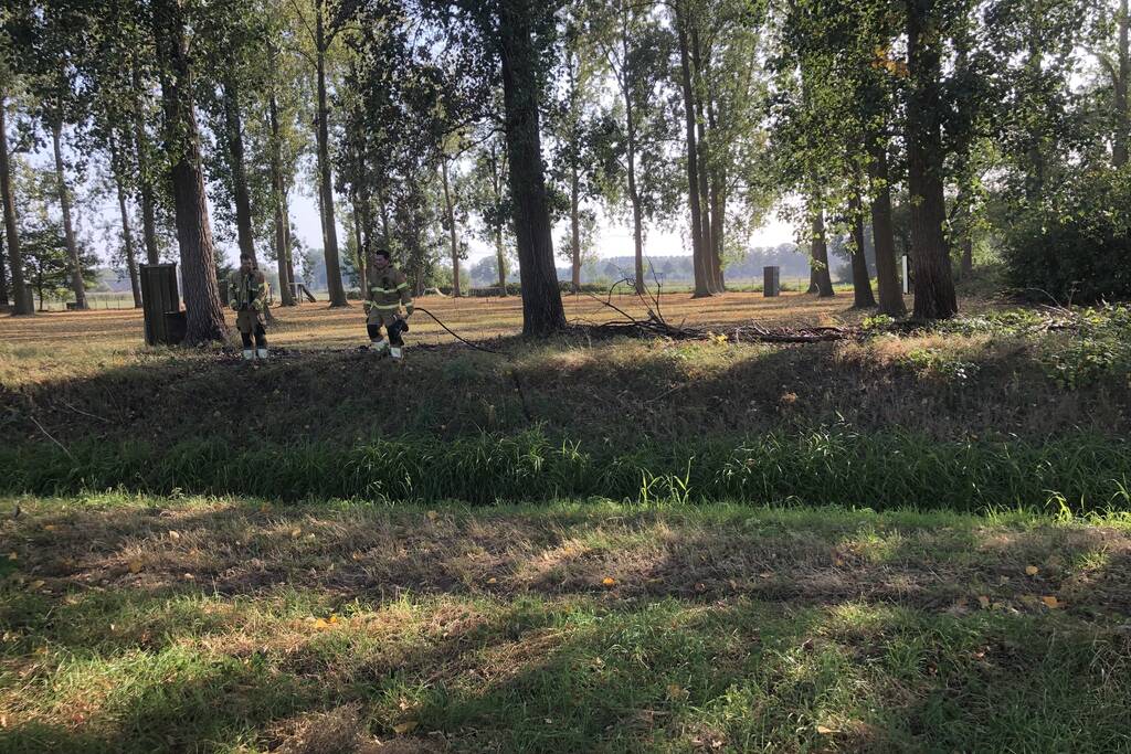 Bladeren en takken in brand