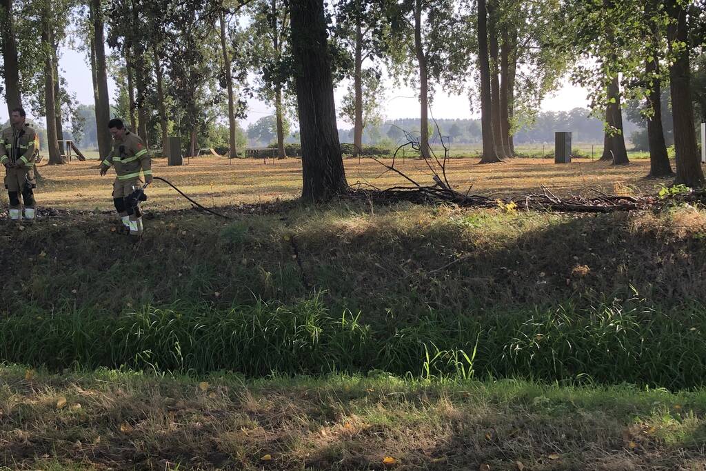 Bladeren en takken in brand