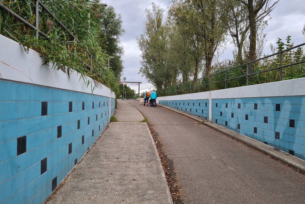 Vrouw in rolstoel met hulphond door scooterrijder aangereden