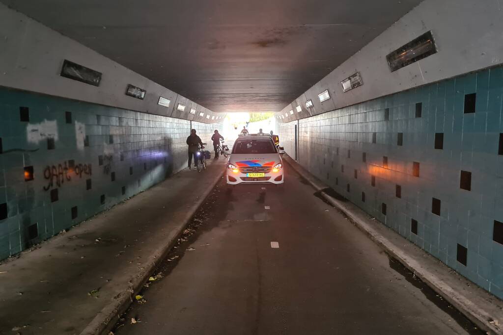 Vrouw in rolstoel met hulphond door scooterrijder aangereden