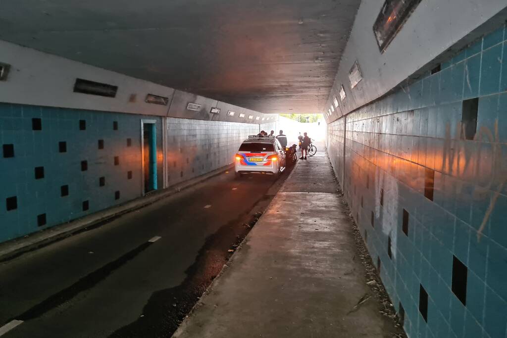 Vrouw in rolstoel met hulphond door scooterrijder aangereden