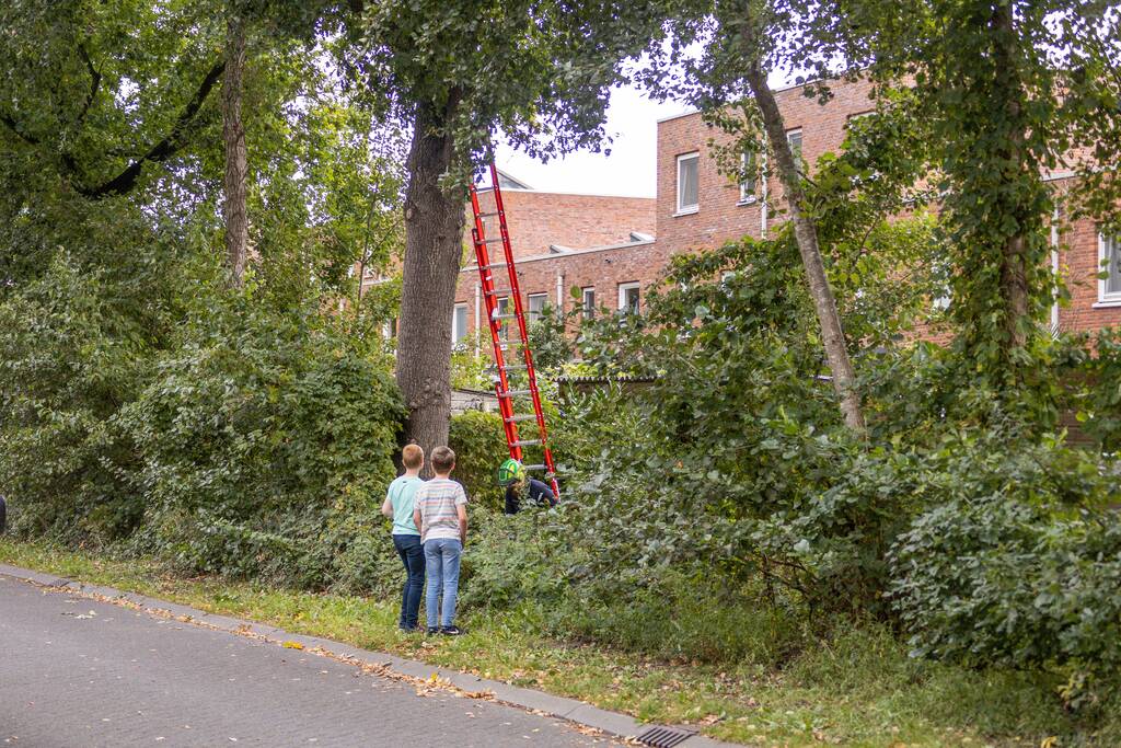 Gevaarlijk hangende tak snel verwijderd