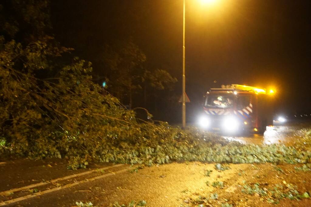 Weg verspert door afgebroken takken