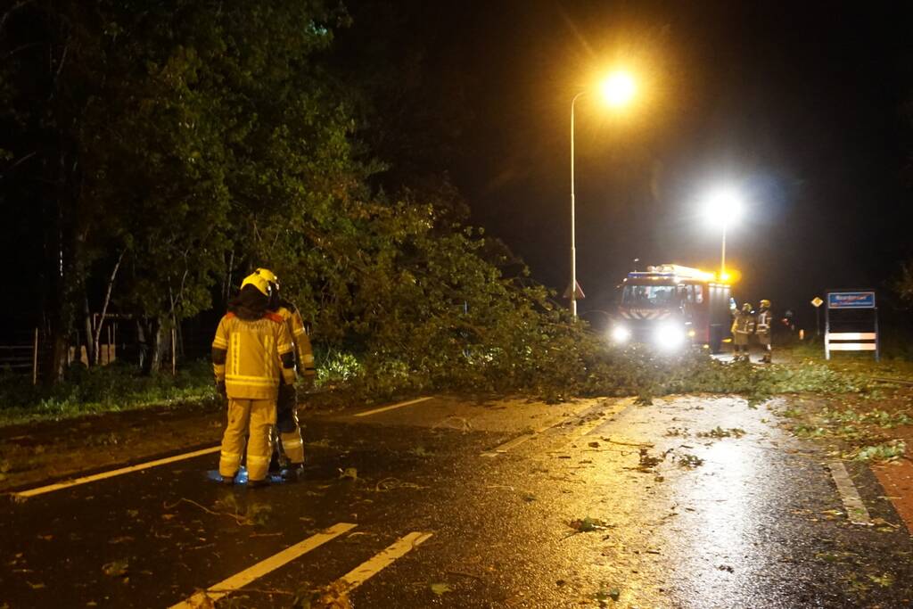 Weg verspert door afgebroken takken