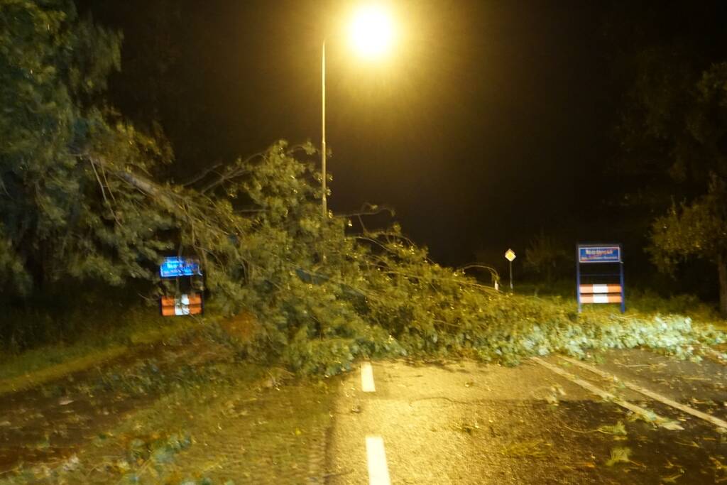 Weg verspert door afgebroken takken