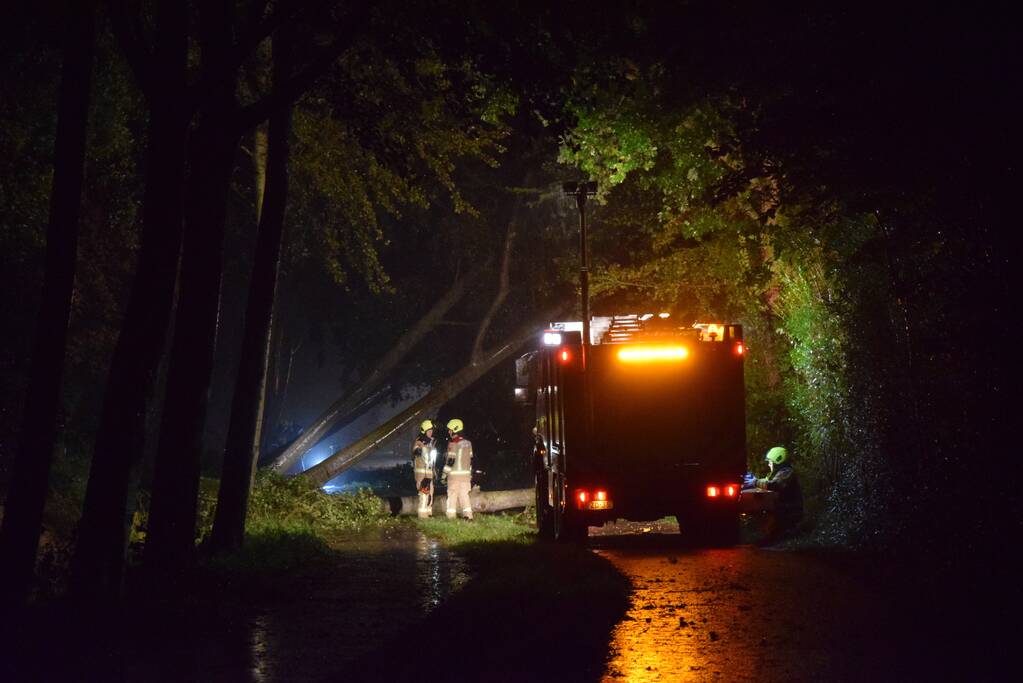 Meerdere bomen waaien om door storm Odette