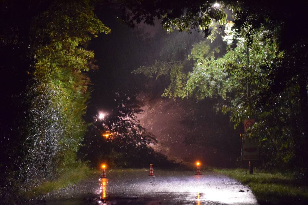 Meerdere bomen waaien om door storm Odette