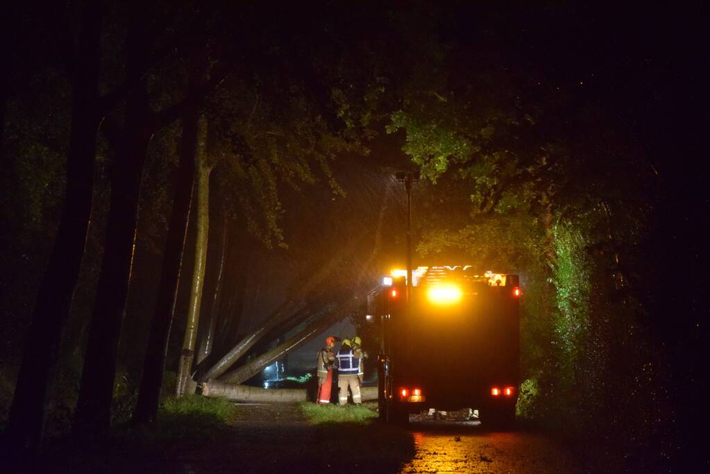 Meerdere bomen waaien om door storm Odette