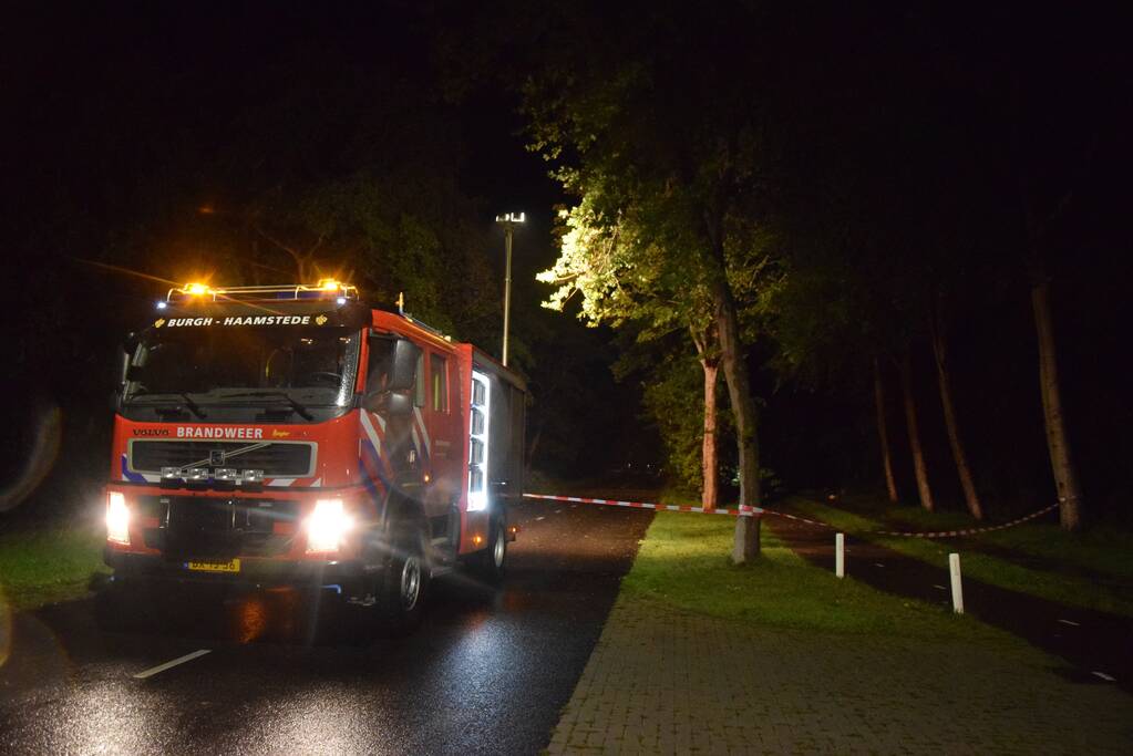 Meerdere bomen waaien om door storm Odette
