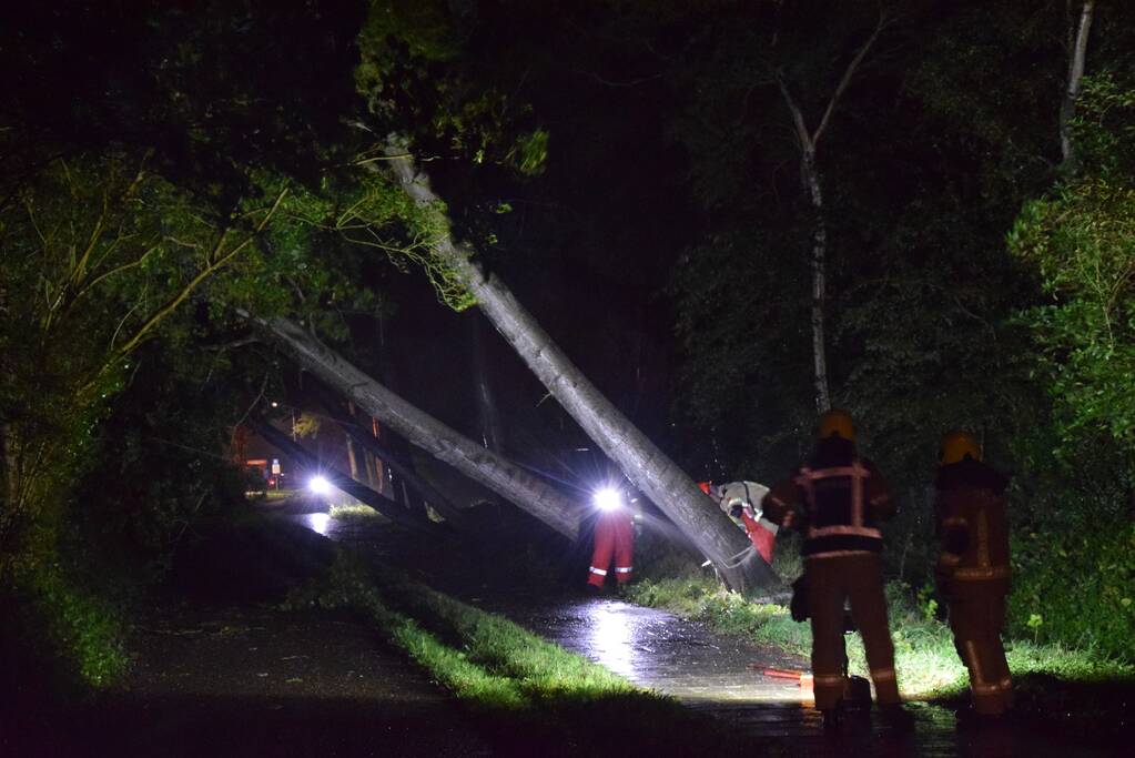 Meerdere bomen waaien om door storm Odette