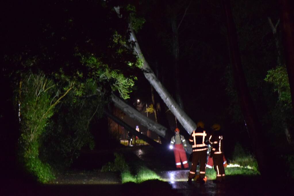 Meerdere bomen waaien om door storm Odette