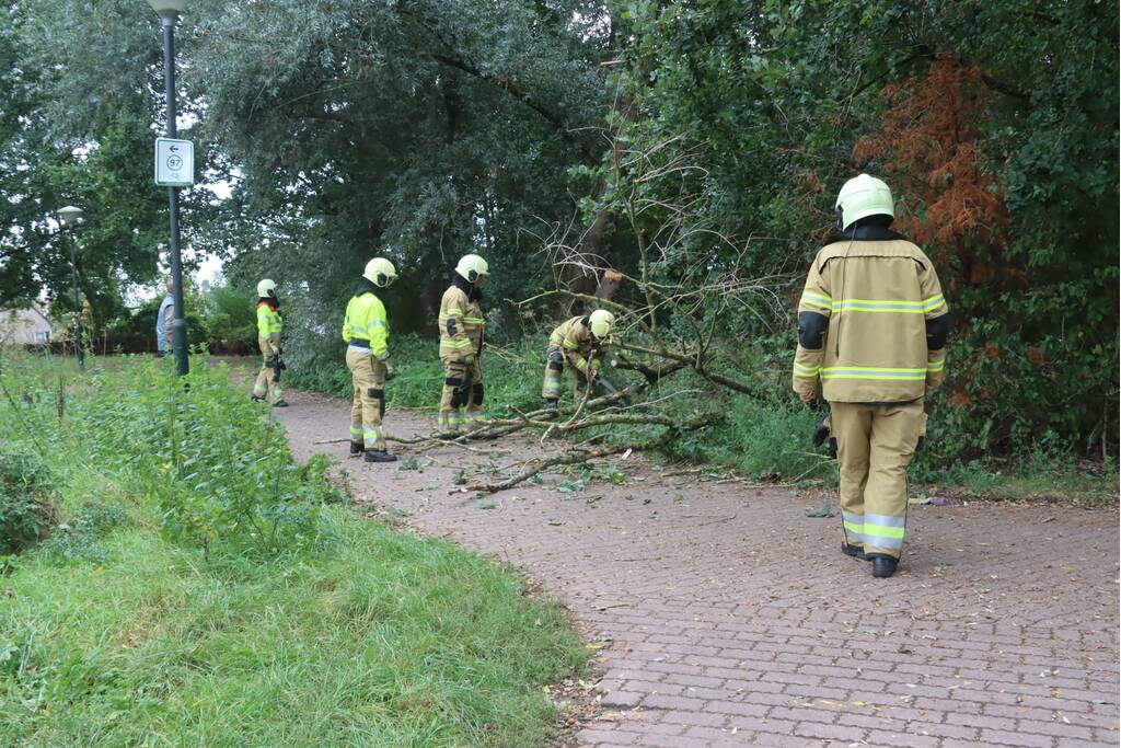 Boom breekt af en belandt op fietspad