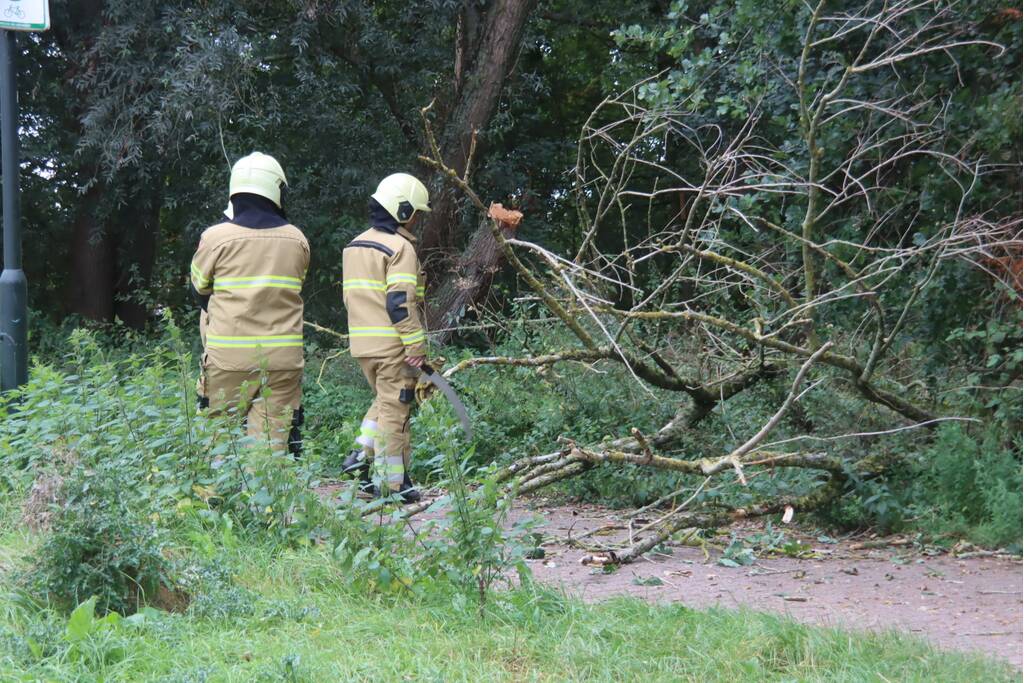 Boom breekt af en belandt op fietspad