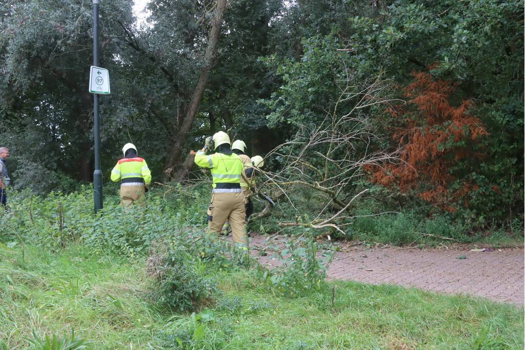 Boom breekt af en belandt op fietspad