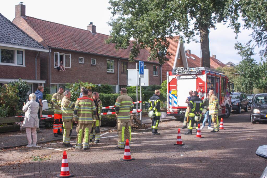 Grote boom valt om tegen woning