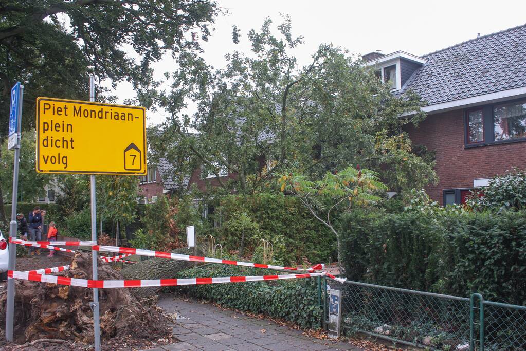 Grote boom valt om tegen woning