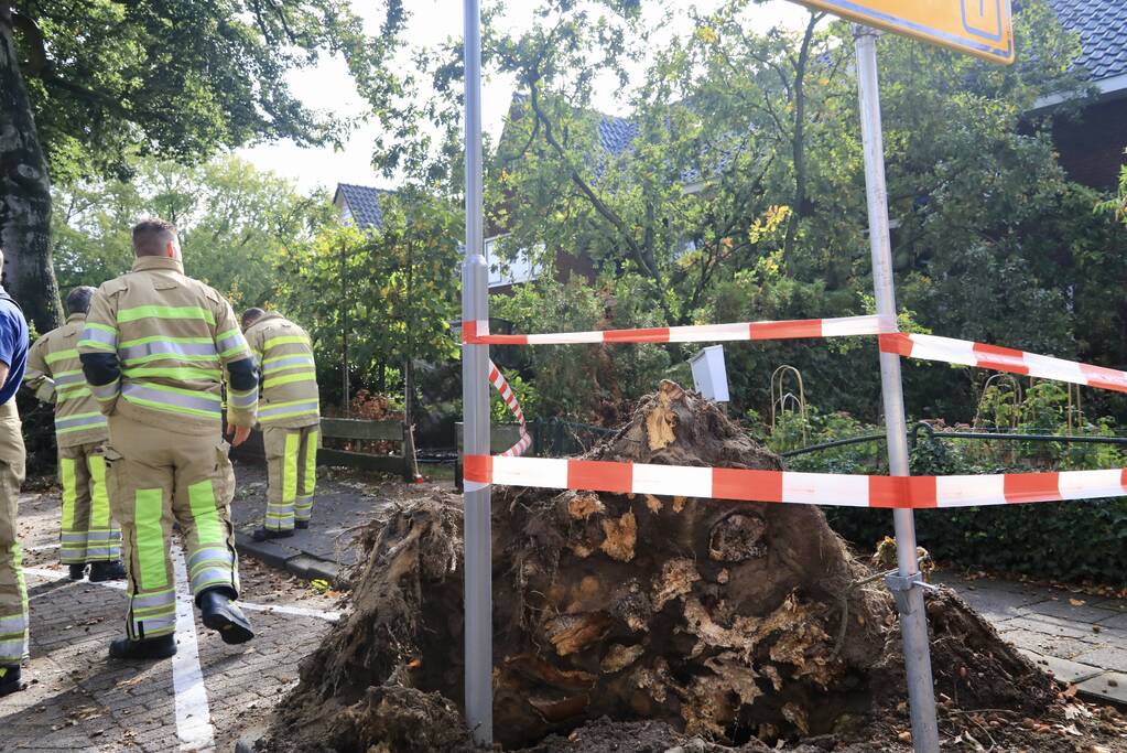 Grote boom valt om tegen woning