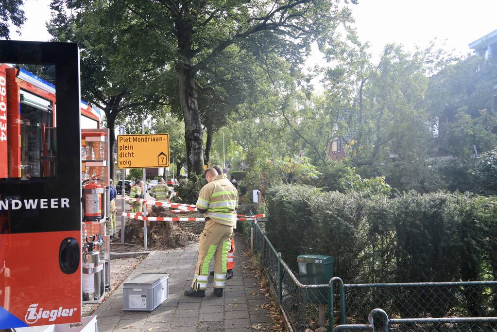 Grote boom valt om tegen woning