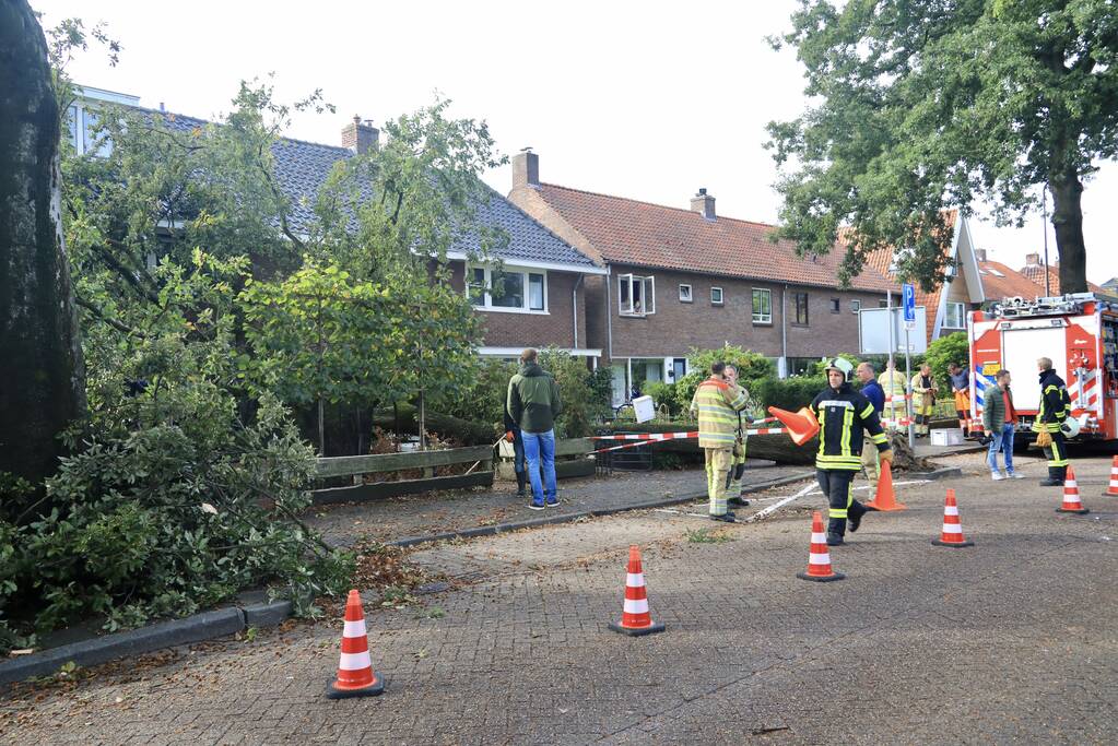Grote boom valt om tegen woning