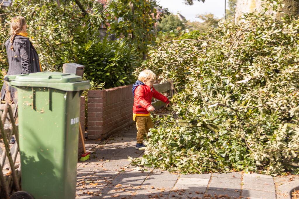 Grote boom valt om tegen woning