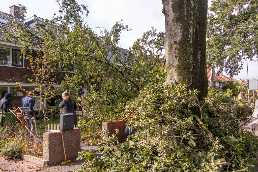 Grote boom valt om tegen woning