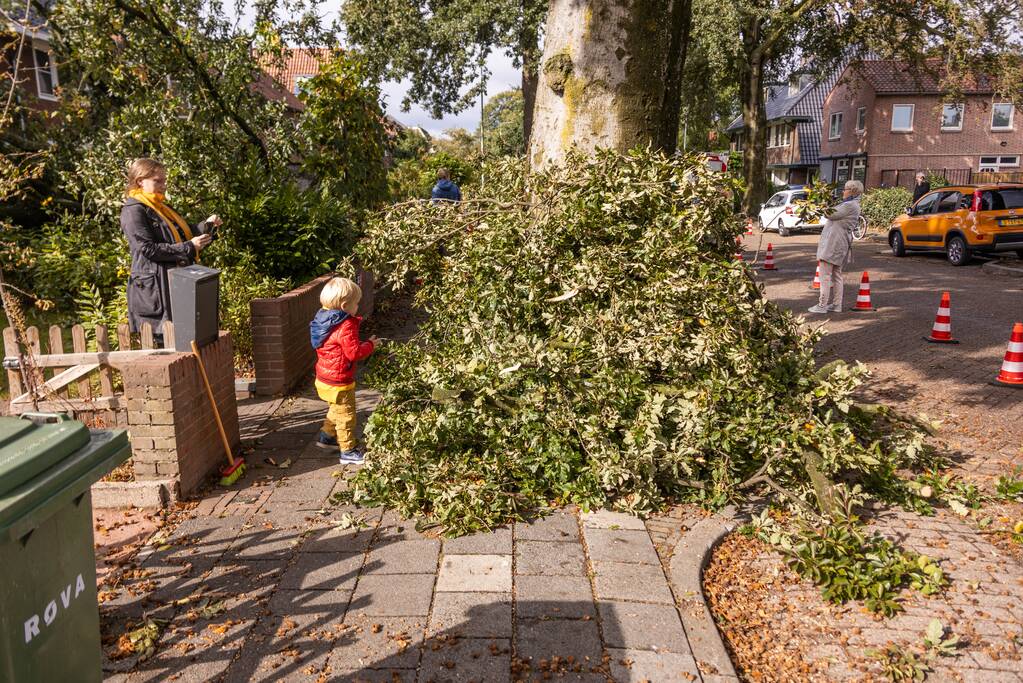 Grote boom valt om tegen woning