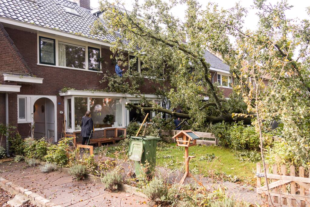 Grote boom valt om tegen woning