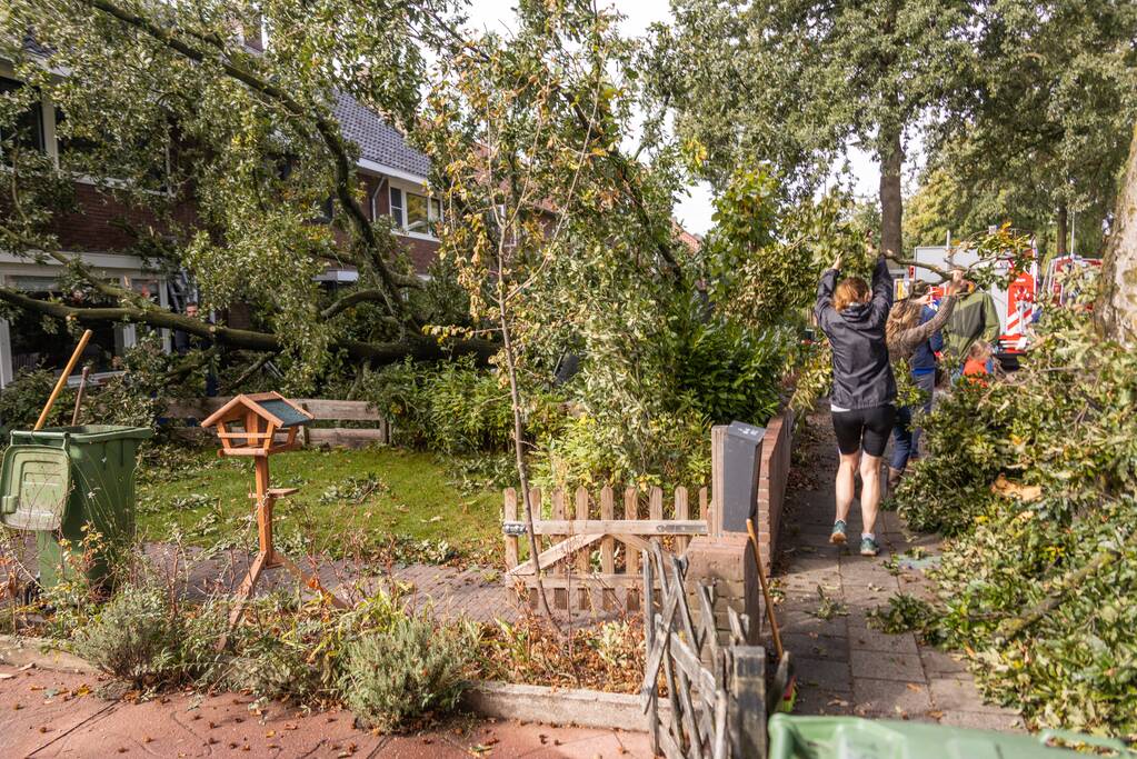 Grote boom valt om tegen woning
