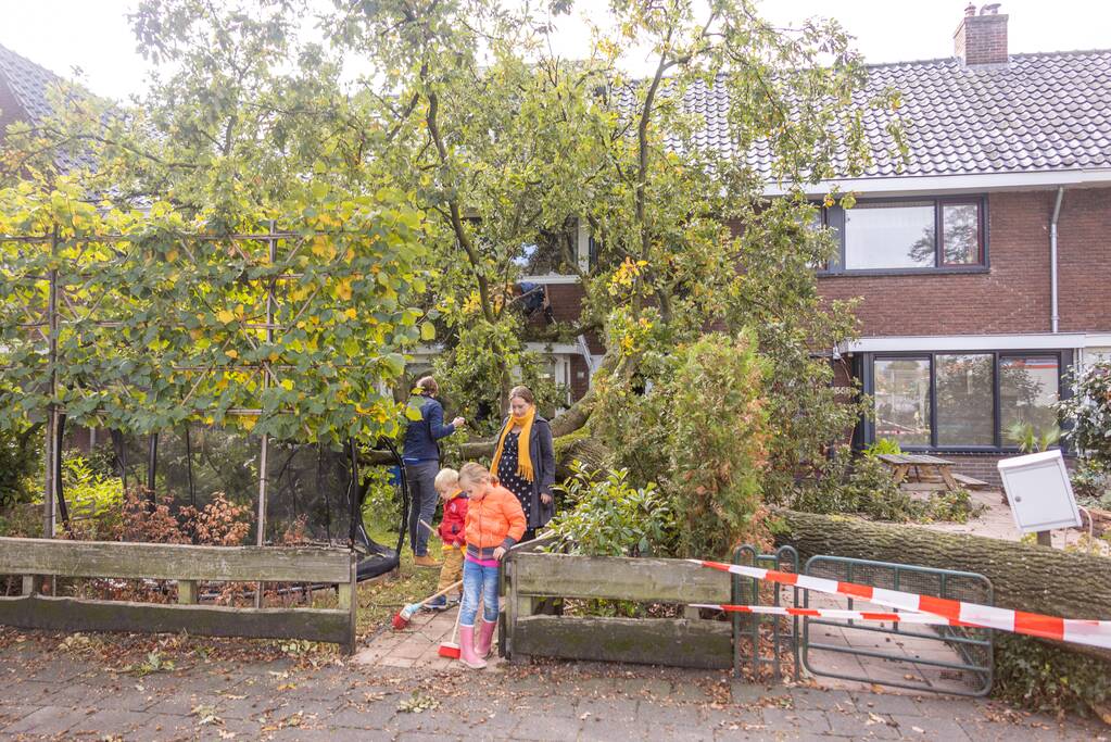 Grote boom valt om tegen woning