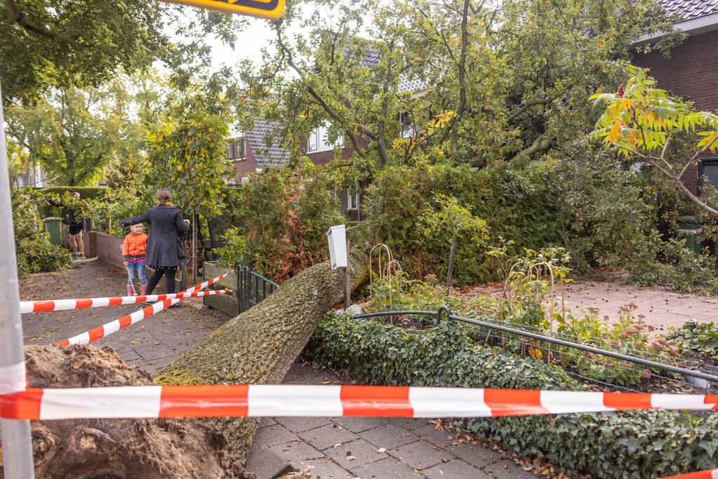 Grote boom valt om tegen woning