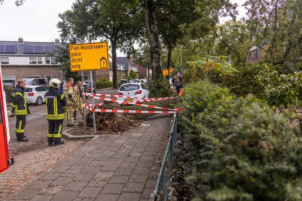 Grote boom valt om tegen woning