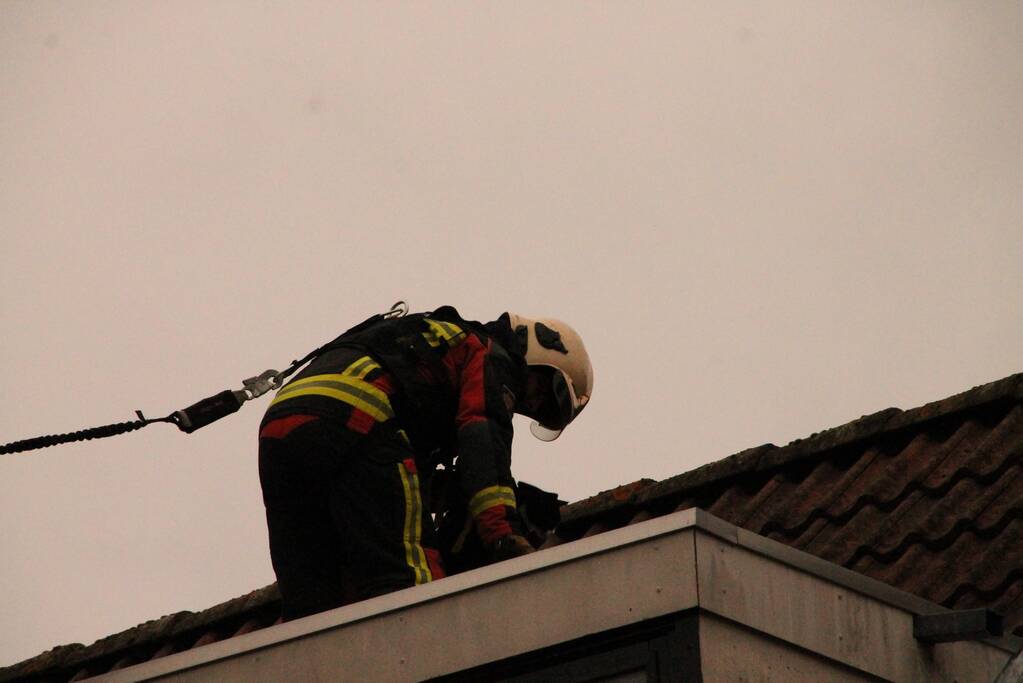 Brand redt kat van het dak