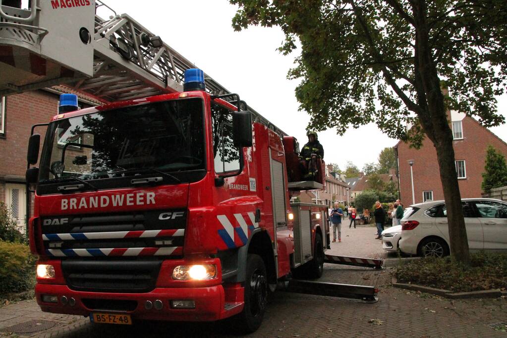 Brand redt kat van het dak