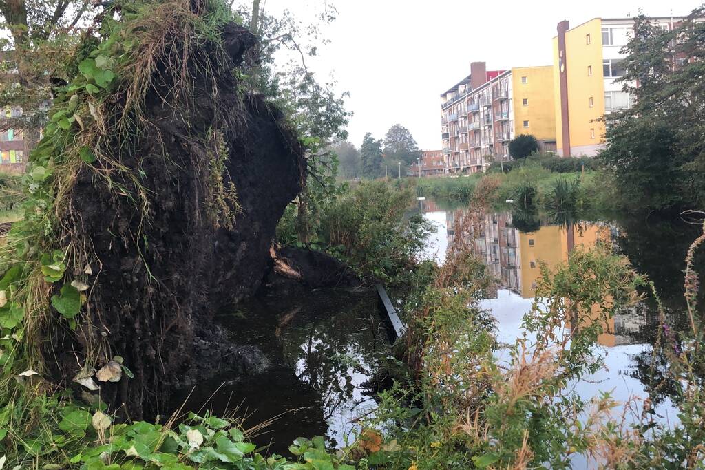 Omgevallen boom blokkeert fietspad en pakeerplaats