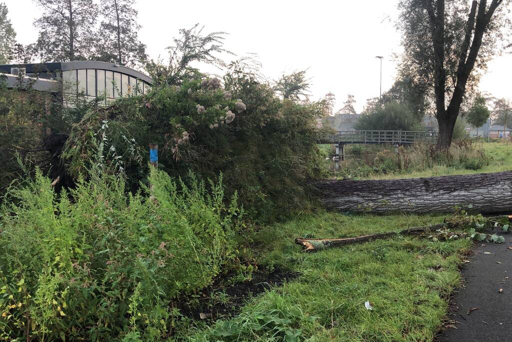 Omgevallen boom blokkeert fietspad en pakeerplaats