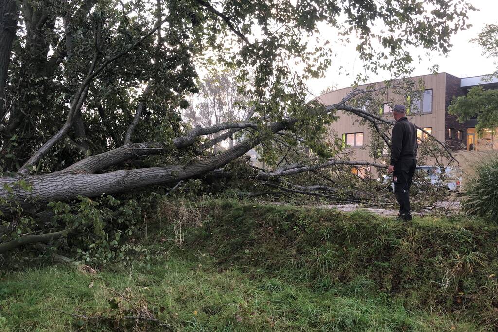 Omgevallen boom blokkeert fietspad en pakeerplaats