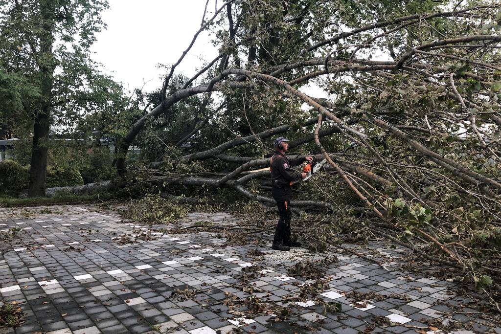 Omgevallen boom blokkeert fietspad en pakeerplaats