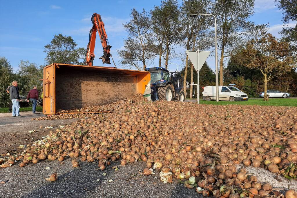 Wegdek bezaaid met net geoogste uien